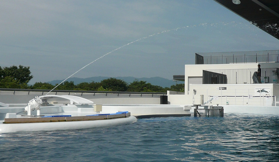 京都水族館