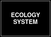 ECOLOGY SYSTEM